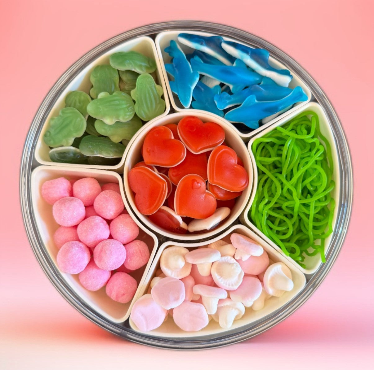 6er Drehbare Candybox 1,2-1,8 KG